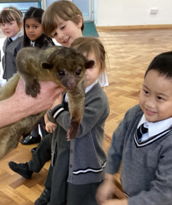 Newsletter - 13.02.26