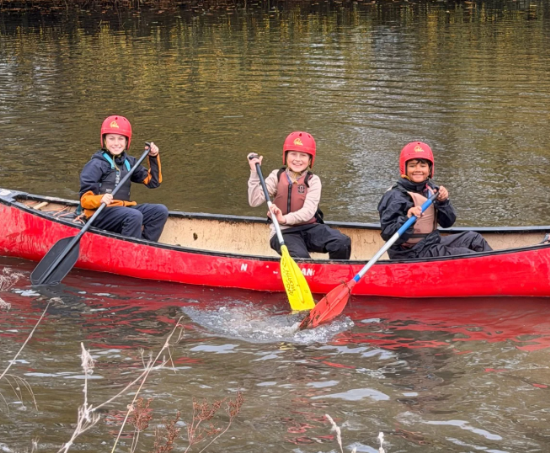 Newsletter - 17.10.25