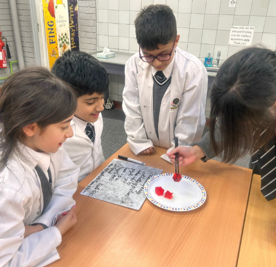 Newsletter - 30.01.26